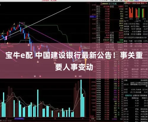 宝牛e配 中国建设银行最新公告！事关重要人事变动