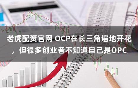 老虎配资官网 OCP在长三角遍地开花，但很多创业者不知道自己是OPC