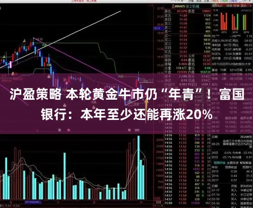 沪盈策略 本轮黄金牛市仍“年青”！富国银行：本年至少还能再涨20%