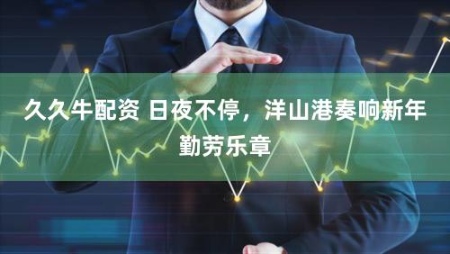 久久牛配资 日夜不停，洋山港奏响新年勤劳乐章