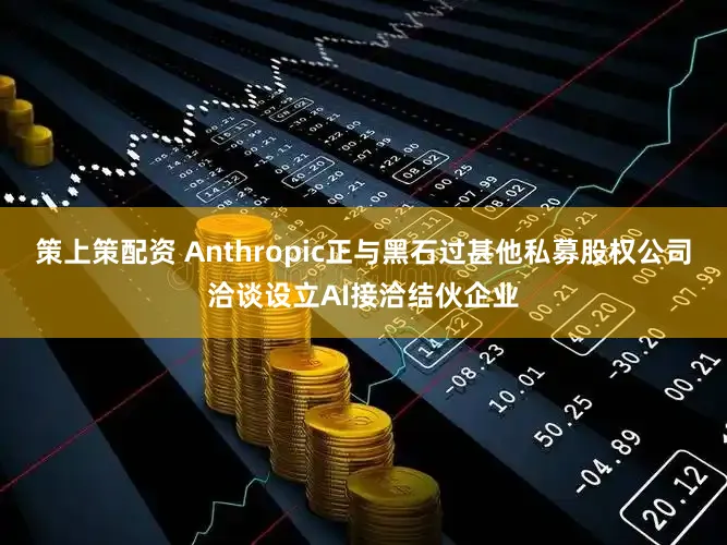 策上策配资 Anthropic正与黑石过甚他私募股权公司洽谈设立AI接洽结伙企业