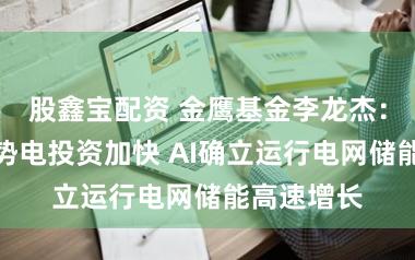 股鑫宝配资 金鹰基金李龙杰：环球海优势电投资加快 AI确立运行电网储能高速增长