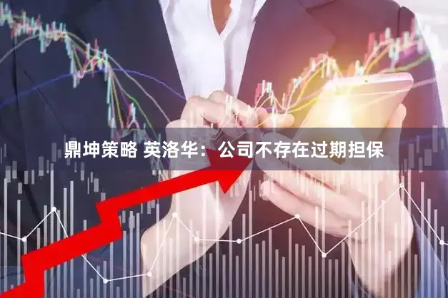 鼎坤策略 英洛华：公司不存在过期担保