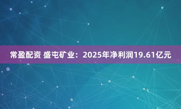 常盈配资 盛屯矿业：2025年净利润19.61亿元