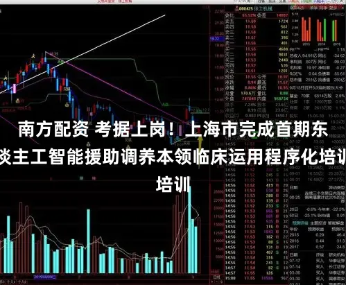 南方配资 考据上岗！上海市完成首期东谈主工智能援助调养本领临床运用程序化培训
