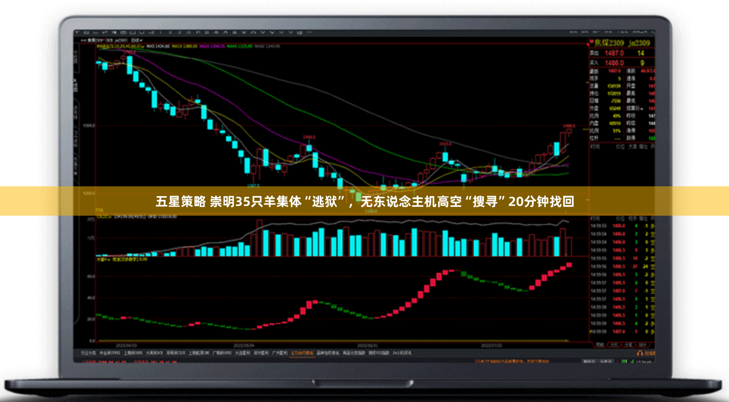 五星策略 崇明35只羊集体“逃狱”，无东说念主机高空“搜寻”20分钟找回
