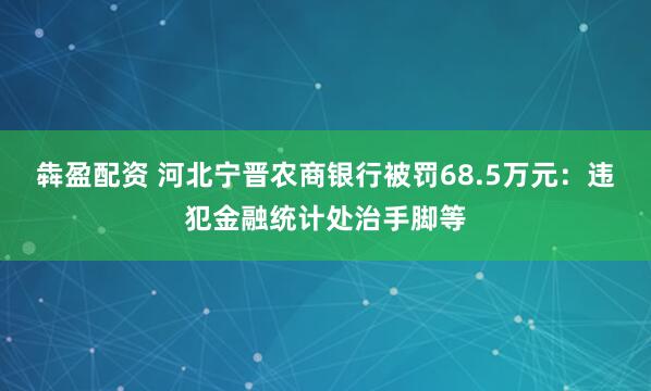 犇盈配资 河北宁晋农商银行被罚68.5万元：违犯金融统计处治手脚等