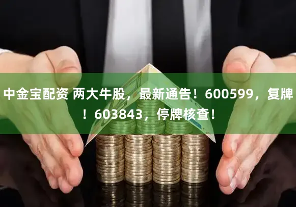 中金宝配资 两大牛股，最新通告！600599，复牌！603843，停牌核查！