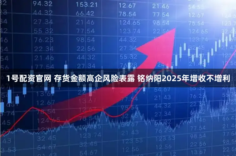 1号配资官网 存货金额高企风险表露 铭纳阳2025年增收不增利