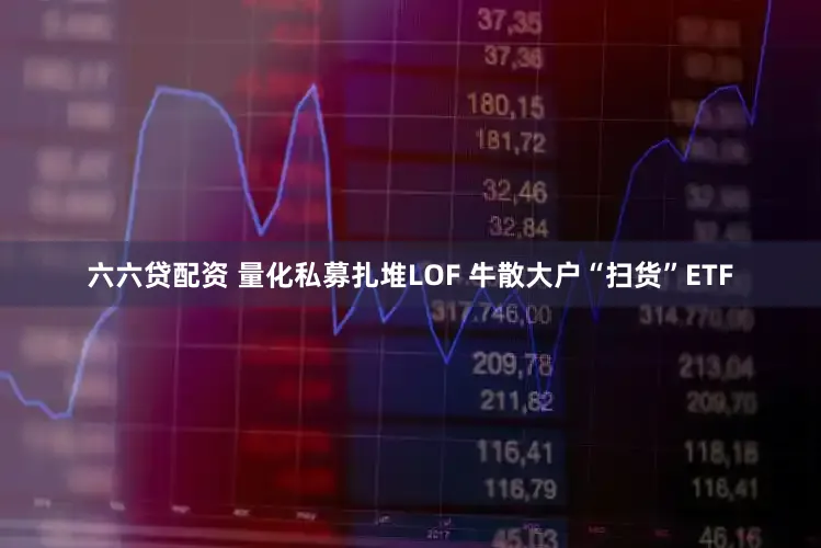 六六贷配资 量化私募扎堆LOF 牛散大户“扫货”ETF