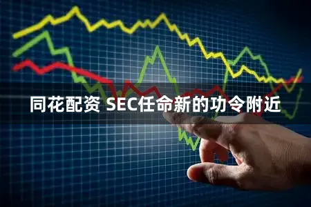 同花配资 SEC任命新的功令附近
